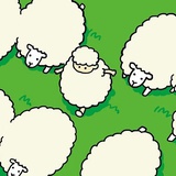 不几丢鸭
