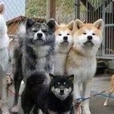 十级潜水运动员