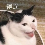 饿饿
