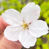 小小小