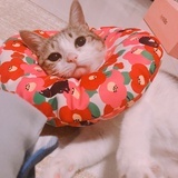 朝着光前进