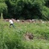小少年