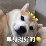 大大柚子