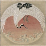 惘闻