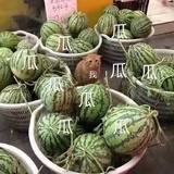连总的大秘书！