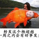 INTO1-小张张