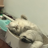 简单的幸福、很