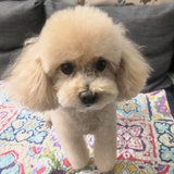 松长贵