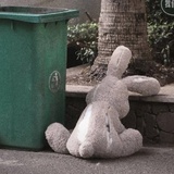 徒留