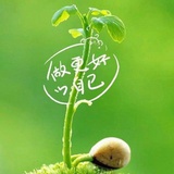 豆友204506602
