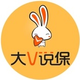 大V说保