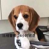 开心奶酪