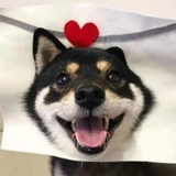 云沅