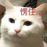 别膈应我