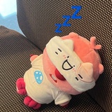 照妖镜