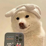 喝咖啡睡不着