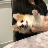 姜发达将发达
