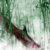 香橙小榕