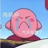 晒网职业选手