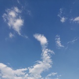 New