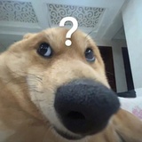 芝士嘎嘎