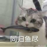 阿呆呆在线冲浪
