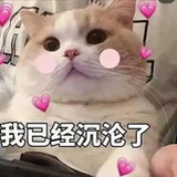 赖美云.