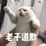 蜉拉-