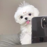 未来亿万富翁
