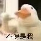 乱码奔波