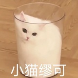 小猫缪可