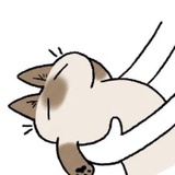眠眠
