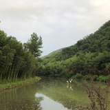 koejongen