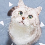 迷惑