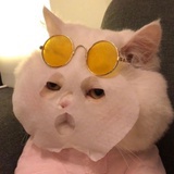 寒风理工诊