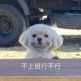 我要喝热水