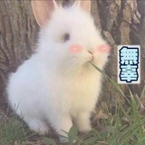 吸溜一口