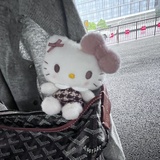 芥末katty