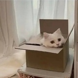 poorthing