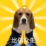 纯豆浆挖掘机