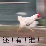 专业杀🐔户