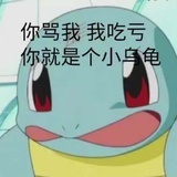 小乌龟🐢
