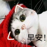 为糖糖痴狂