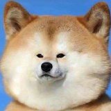 快乐水狂热粉丝