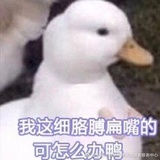 永远自在xh
