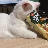 学吧！学无止境