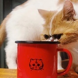 小A