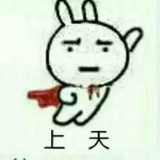 第五茶