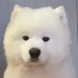 哈喽