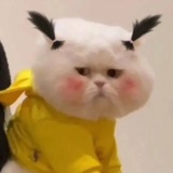 嘟嘟吨